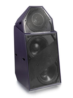 PSM318 DJ Monitor